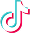 TikTok Icon